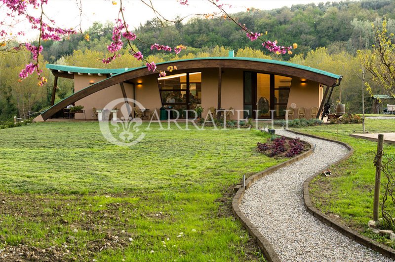 Ферма в Barberino Tavarnelle