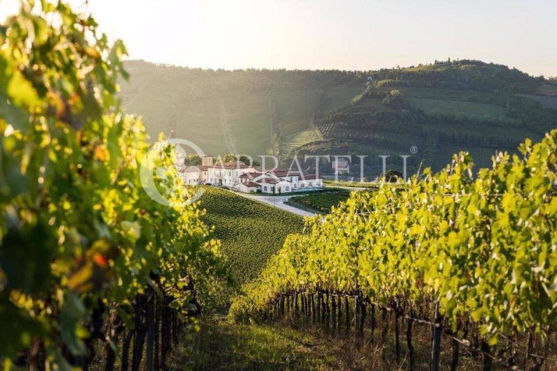 Ферма в Barberino Tavarnelle