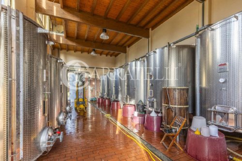 Bauernhaus in Montepulciano