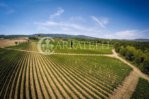 Klein huisje op het platteland in Sarteano