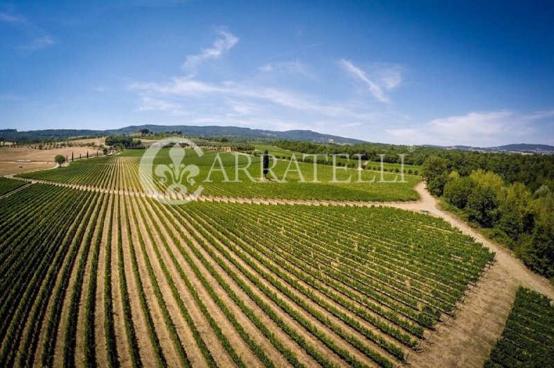 Farmhouse in Sarteano