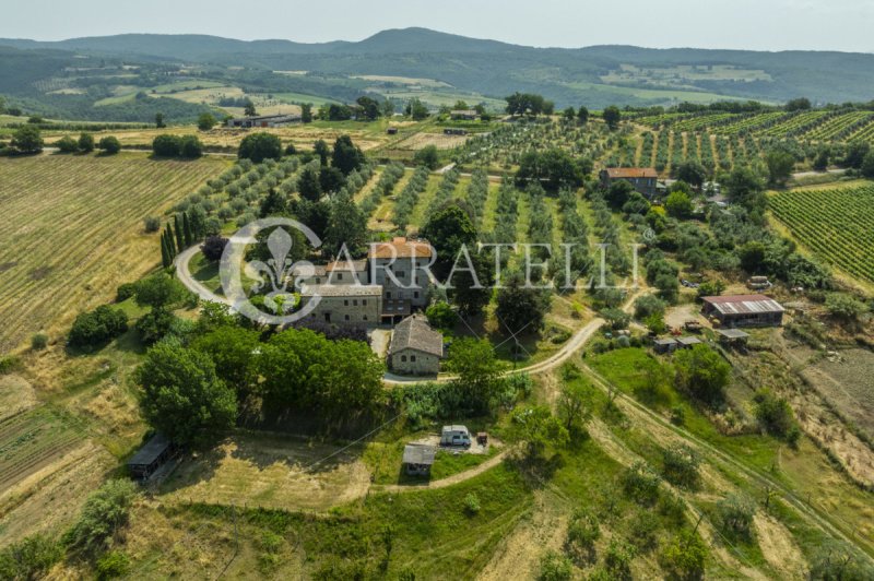 Lantställe i Orvieto