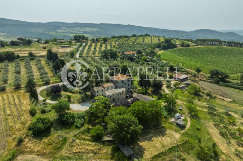 Lantställe i Orvieto