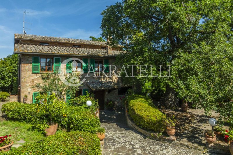 Lantställe i Montepulciano