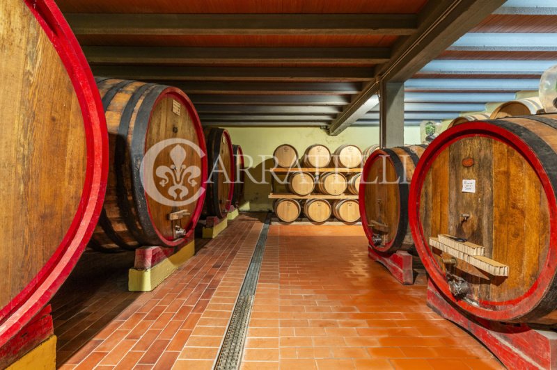 Quinta agrícola em Gaiole in Chianti