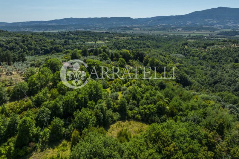 Ferme à Città della Pieve