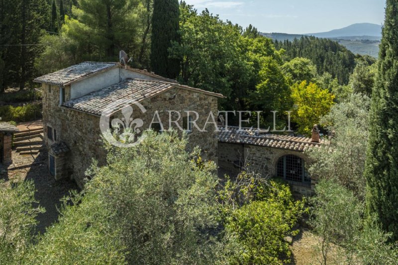 Lantställe i Castiglione d'Orcia