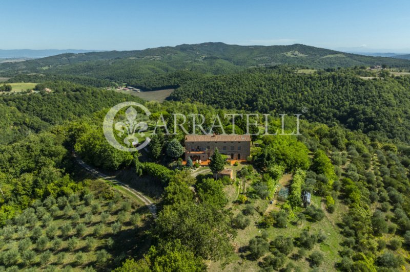 Lantställe i Città della Pieve