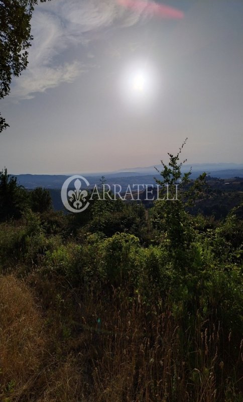 Building plot in Scansano