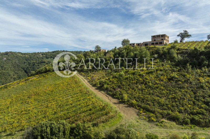 Bouwgrond in Scansano