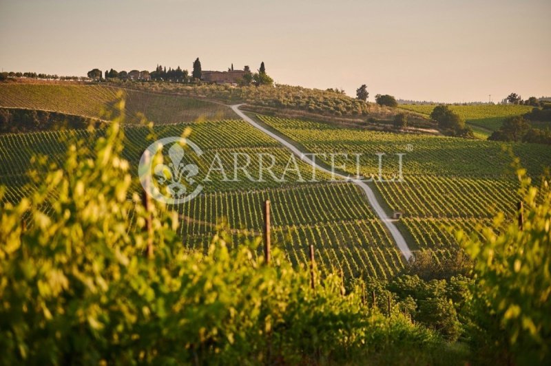 Lantgård i Castagneto Carducci