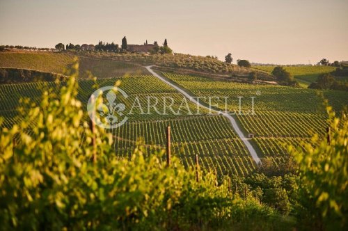 Azienda agricola a Montepulciano