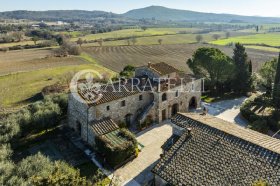 Farmhouse in Asciano