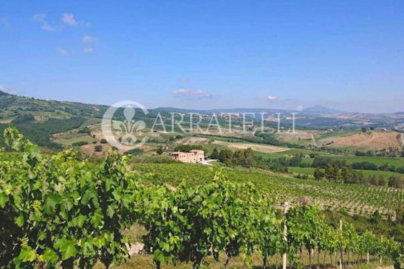 Отдельно стоящий дом в Орвието