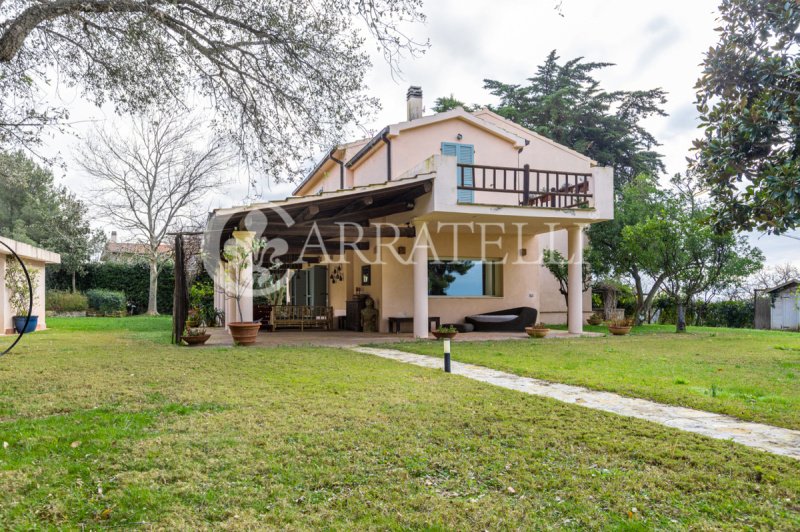 Farmhouse in Capalbio