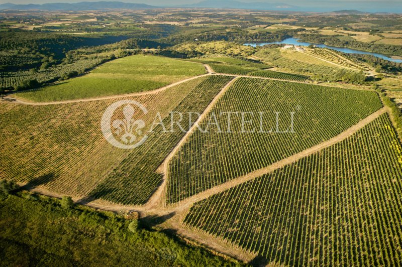 Quinta agrícola em Magliano in Toscana
