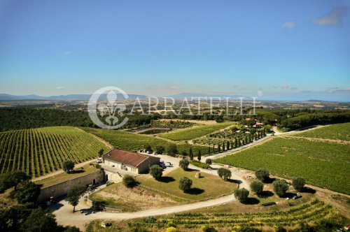 Quinta agrícola em Magliano in Toscana