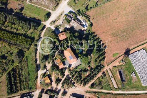 Ferme à Grosseto