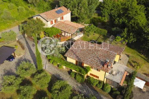 Ferme à Santa Fiora