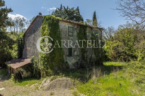Farmhouse in Radicofani