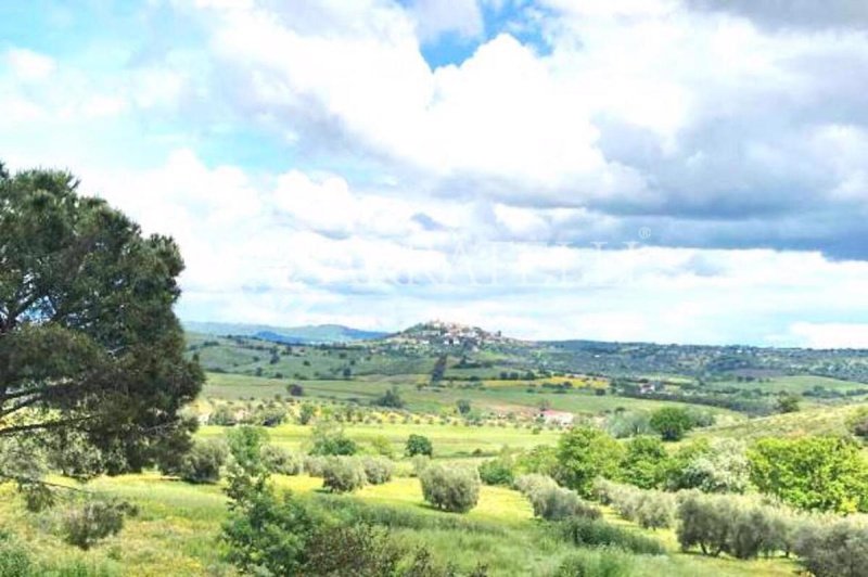 Solar em Magliano in Toscana
