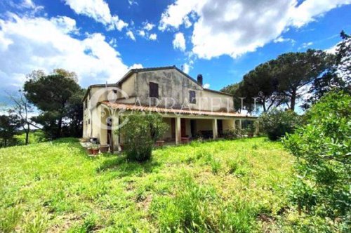 Solar em Magliano in Toscana