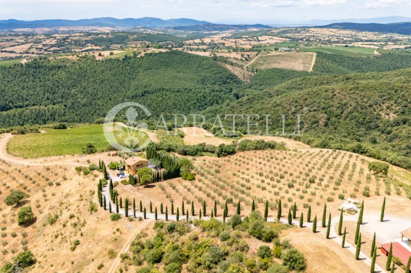 Casolare a Magliano in Toscana