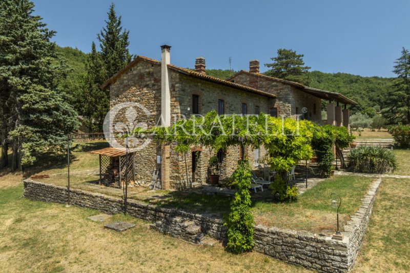 Bauernhaus in Parrano