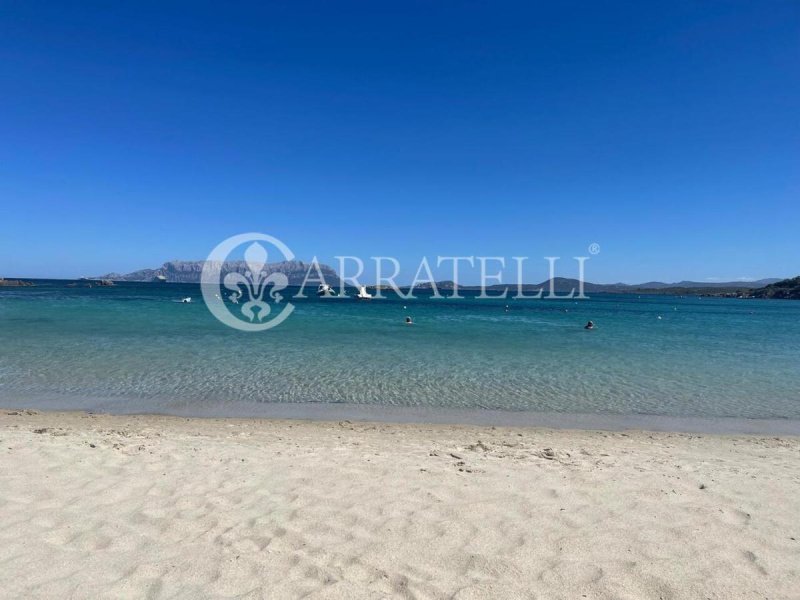 Apartment in Olbia