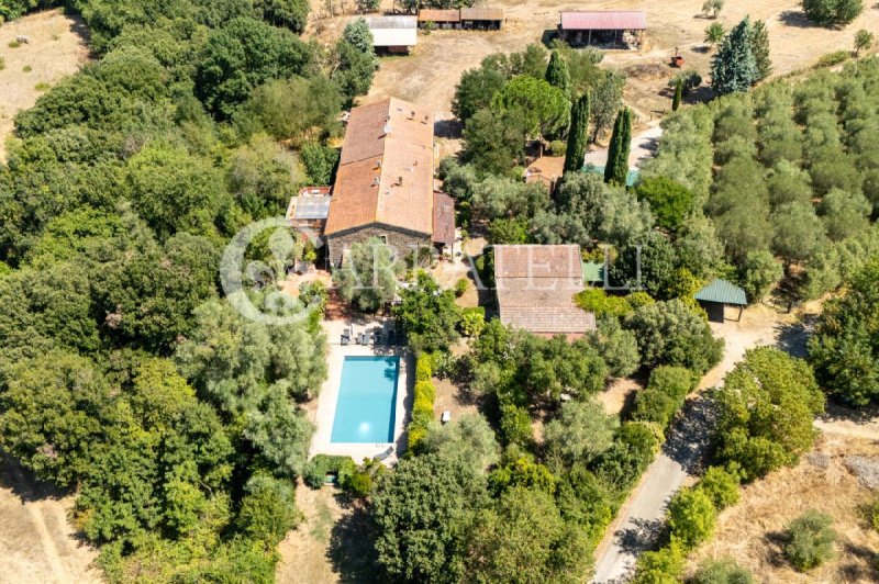 Ferme à Campagnatico