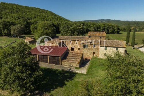 Ferme à Civitella Paganico