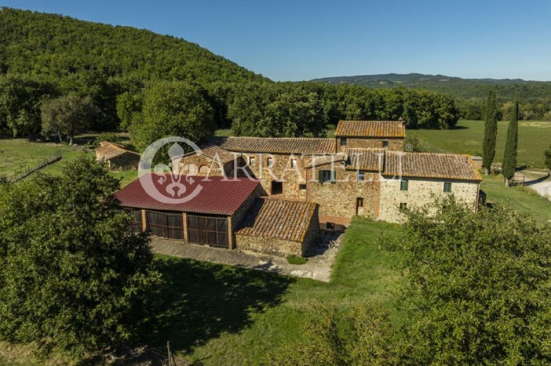 Ferme à Civitella Paganico