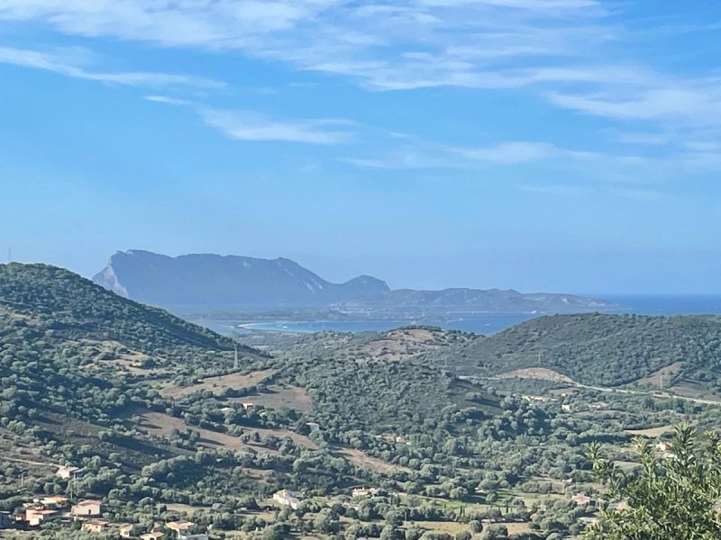 Agricultural land in San Teodoro