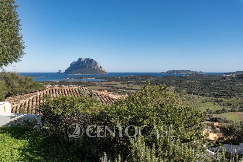 Villa in Loiri Porto San Paolo