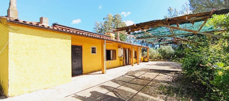 Casa histórica em Berchidda