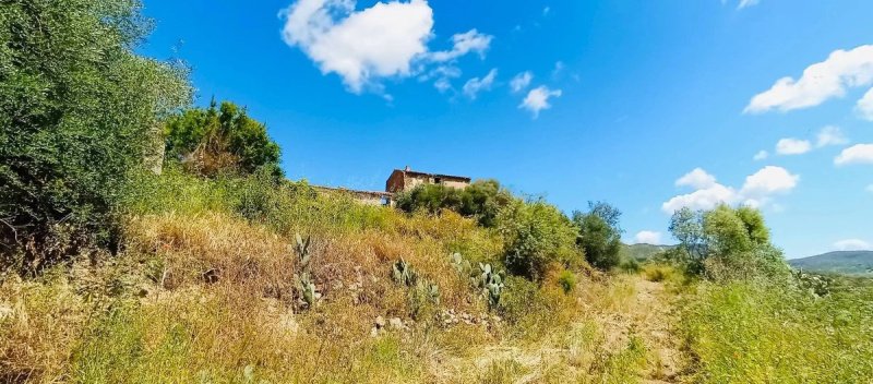 Historiskt hus i Berchidda