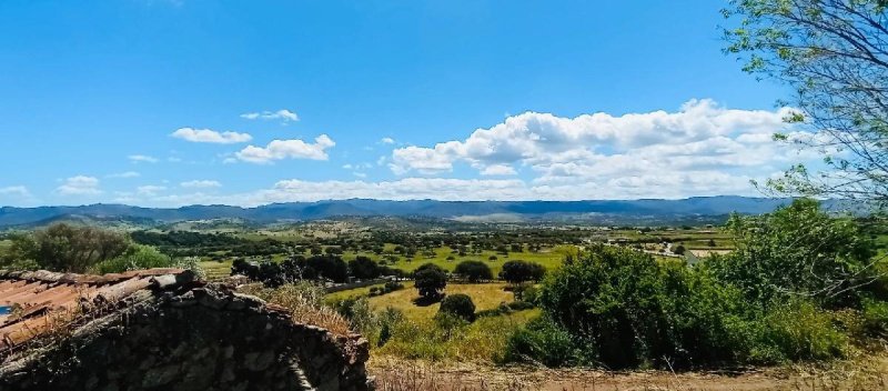 Dimora storica a Berchidda