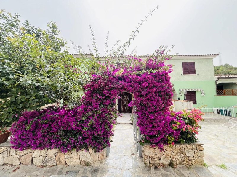 Appartement in San Teodoro