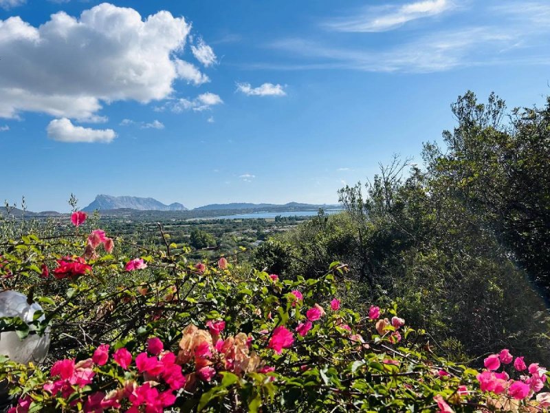 Lägenhet i San Teodoro