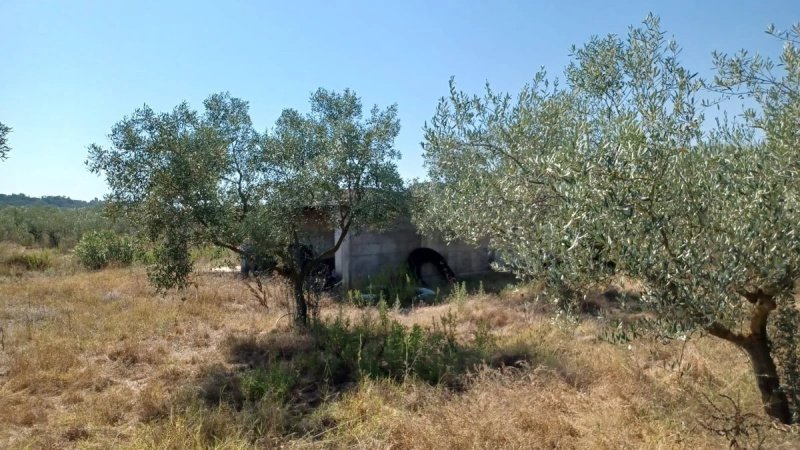 Historisches Haus in Onifai