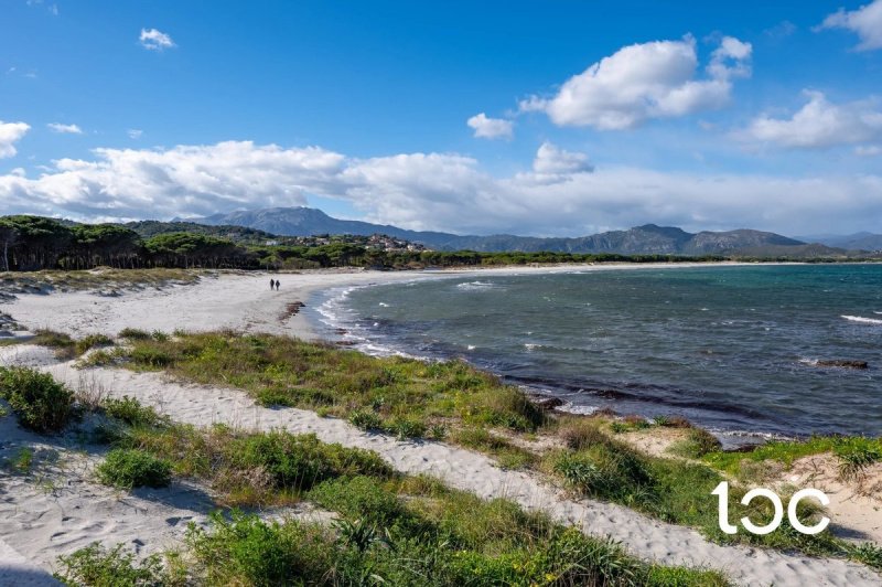 Квартира в Синискола