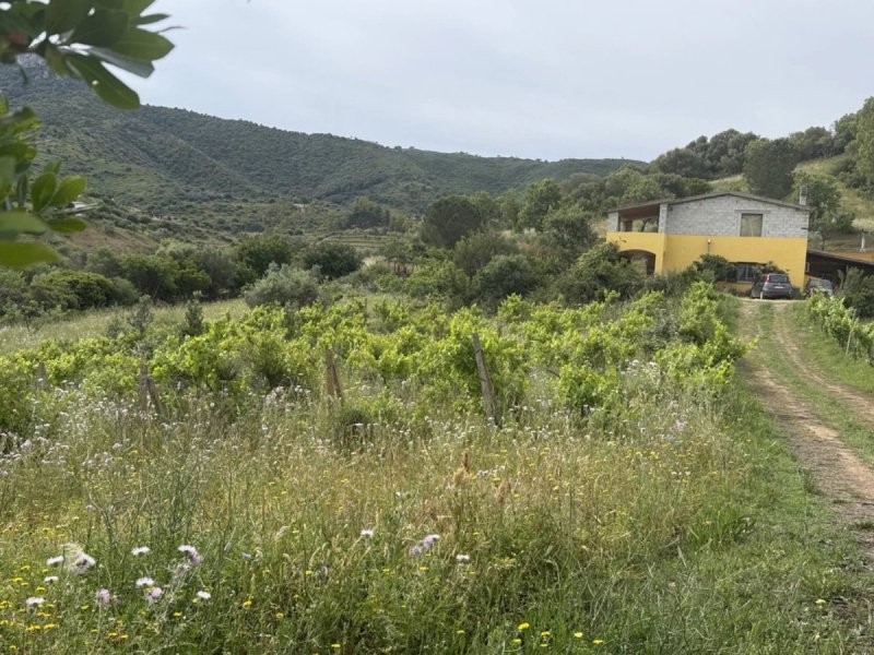 Appartement à Torpè