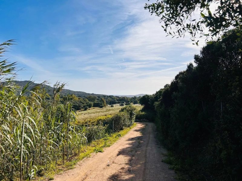 Terrain à bâtir à Golfo Aranci