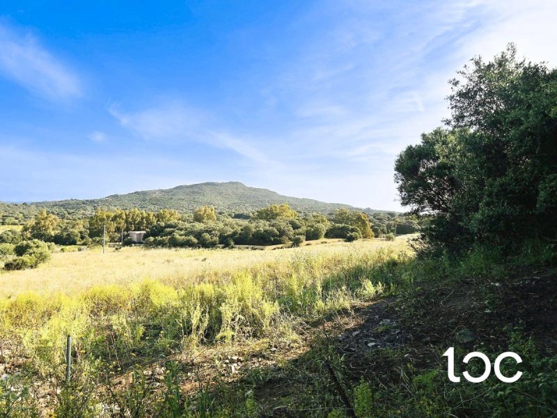 Byggtomt i Golfo Aranci