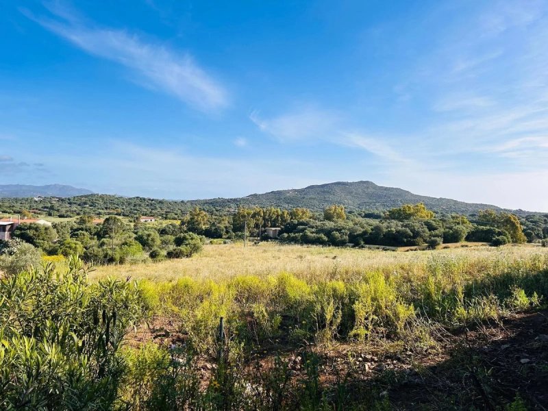 Bouwgrond in Golfo Aranci