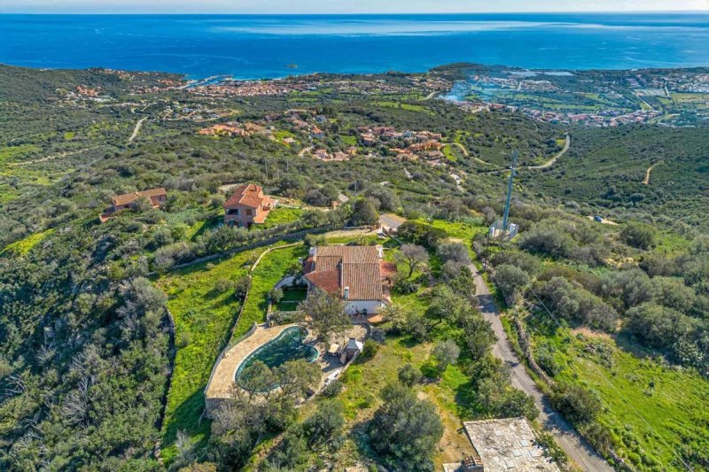 Villa in Budoni