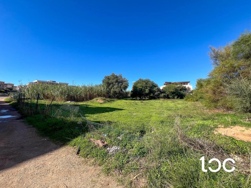 Строительный участок в Ольбия