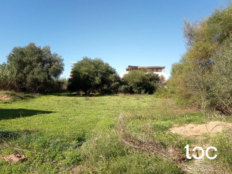 Строительный участок в Ольбия