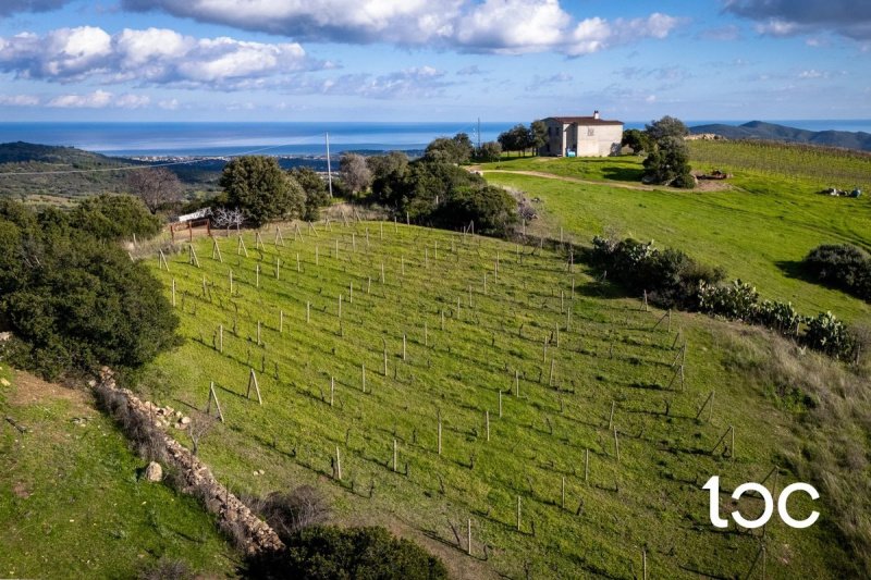 Agricultural land in Budoni