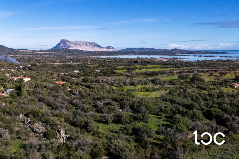 Таунхаус в Сан-Теодоро